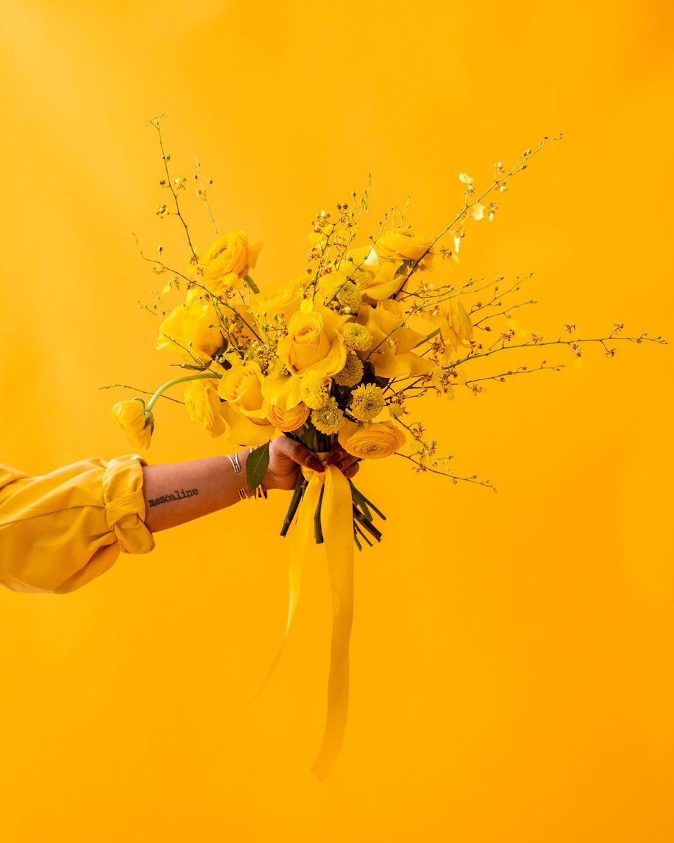 <a href="/PinaTaylotta/">Taylor 🌿</a> &amp; <a href="/VannahLeePhoto/">Vannah Lee ✨📸</a> are TALENTED AS HELL, that’s all. 👏🏻💛