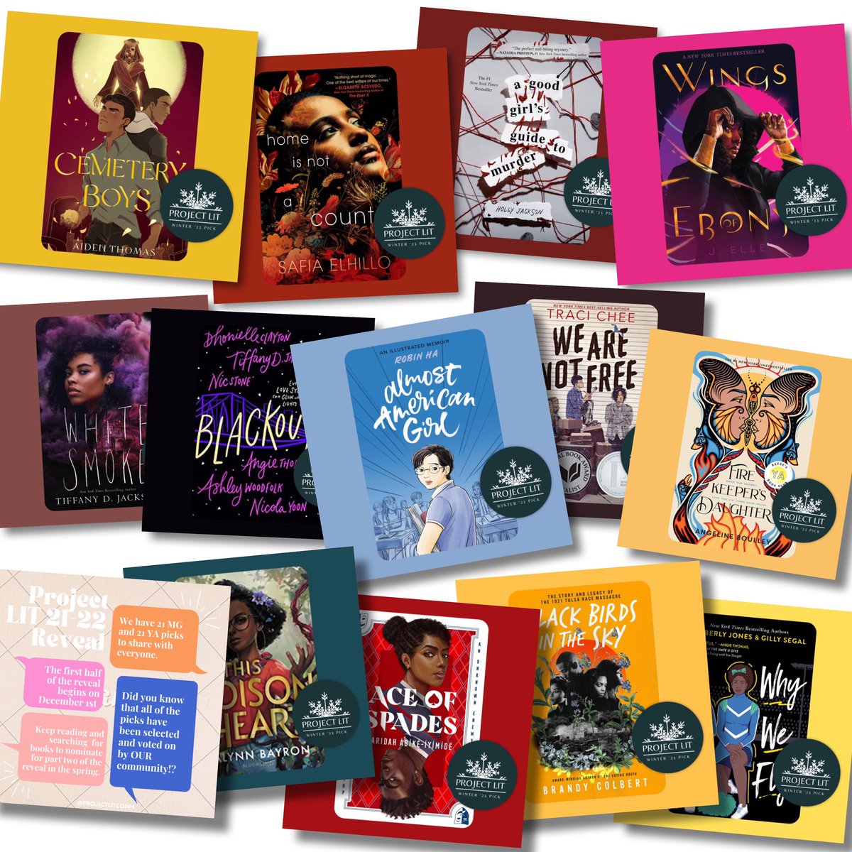 ProjectLITComm's tweet image. Our first 13 YA picks! 📚❤️#ProjectLITBookClub