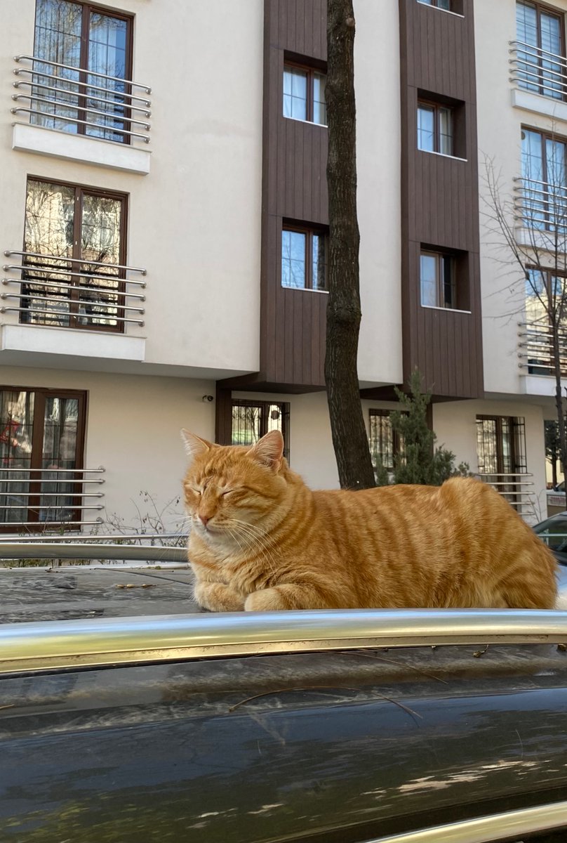 Bildiğiniz gözünü sımsıkı kapattı ve gitmem için sabretti
