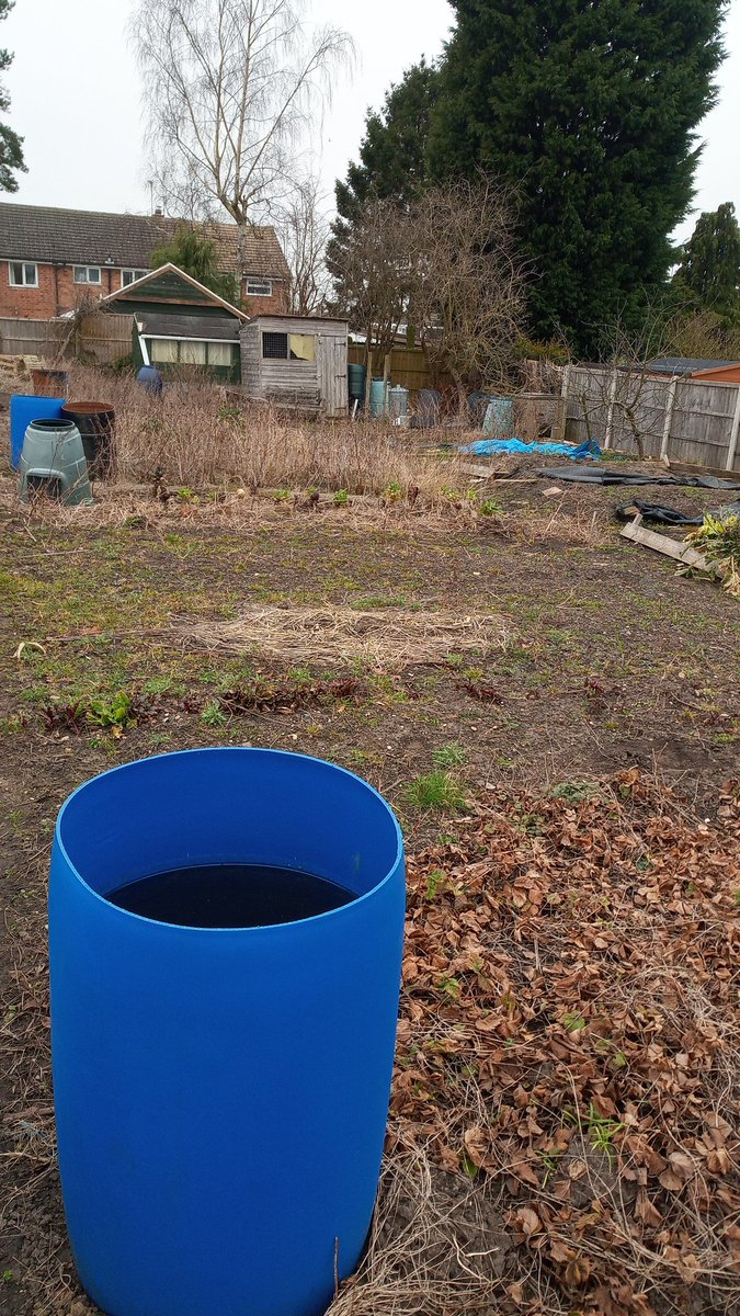 AllotmentPlot54's tweet photo. In February 2021 we took on our plot. 

It had sat unloved for a couple of years and was full of weeds, as many plots are when they change hands...but there was potential.

Some fruit bushes, a couple of rhubarb crowns &amp; a shed that hadn't completely fallen apart gave us a start https://t.co/x7Wi5nJgrC