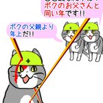 独身なのに「ボクの父親より年上だ!」と言われてしまう現場猫!