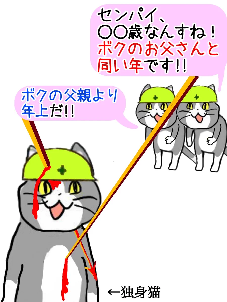独身なのに「ボクの父親より年上だ！」と言われてしまう現場猫！