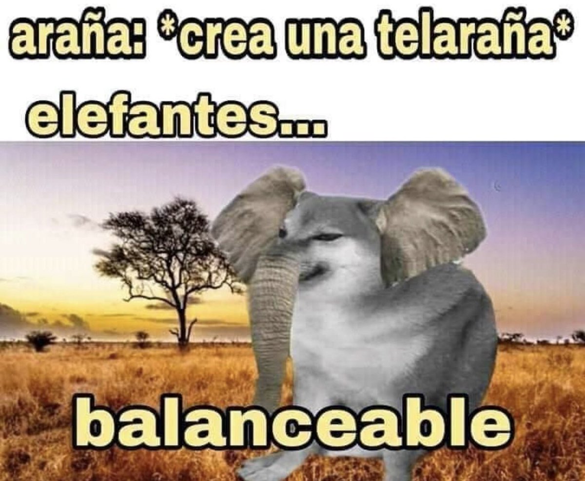 claudiissott's tweet photo. y dejo un meme antes de irme 🥵 https://t.co/s7xPfbZgNt