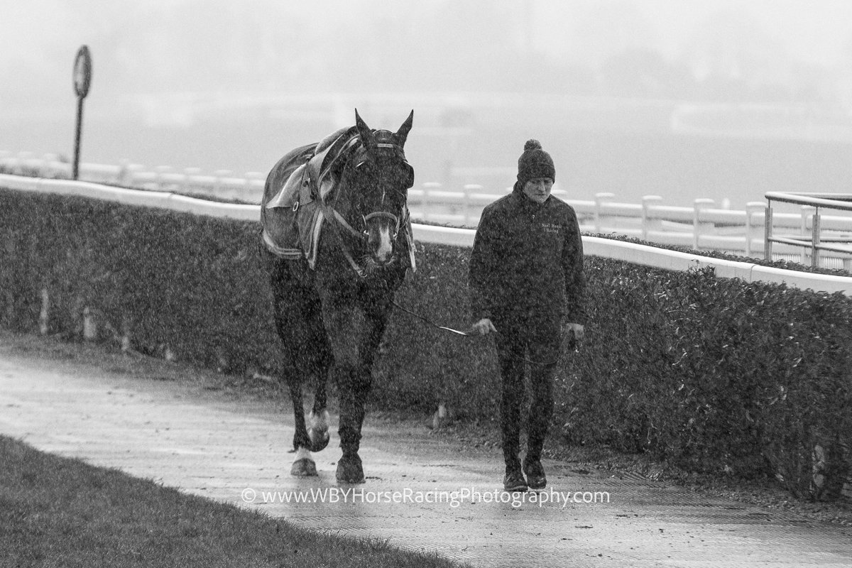 Apparently today is #NationalHorseDay ... so here's a few showing that special bond these amazing creatures create.....  

Bob Mahler and Taylor, Bapaume and Zoe, Latest Exhibition and Ciara and Texas Jack and Emma....