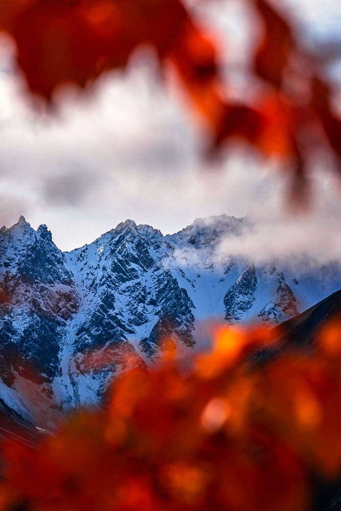 Jonell_Kalae_S's tweet photo. GM 👋🌞 It's a Last Frontier State Alaska kind of morning.

#alaska #landscapephotography  #framing #naturelovers #fallmeetswinter #helloworld #outdooradventure #scenic https://t.co/rmUqI6MppN