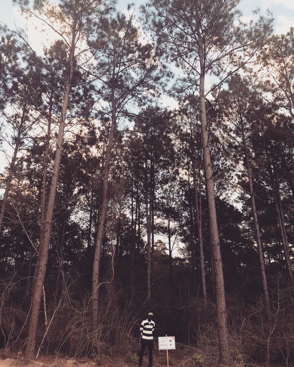 Flyger Woods tweet media