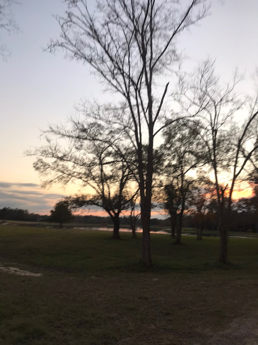 Flyger Woods tweet media