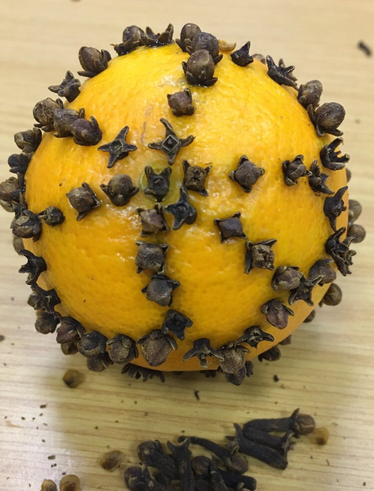 IBTTrees's tweet photo. First #pomanders getting started @ShefFlourish #cloves #sensory #MentalHealthMatters https://t.co/L8dV0LfZFv