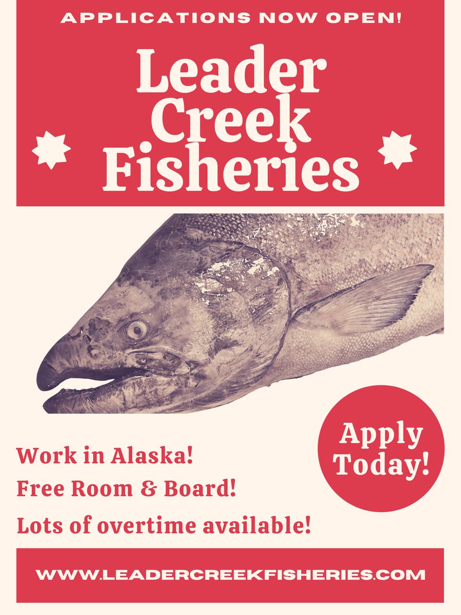 OfficialLCF's tweet photo. Leader Creek Fisheries is hiring Seafood Processors for the summer. Apply online today! https://t.co/waJE0X74w0
#Hiring #Alaska #Salmon #seasonal https://t.co/6fwW784py5