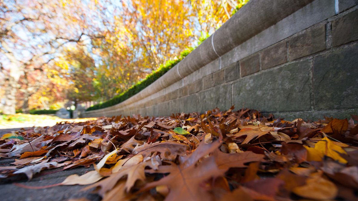 TechPurdue's tweet photo. We've (nearly) made it through another semester — and it's finals week! #PurduePolytechnic students, we know you have studied hard all semester long. Remember to eat well and get good rest. You got this!
#FallAtPurdue https://t.co/tDXqz9oqfi