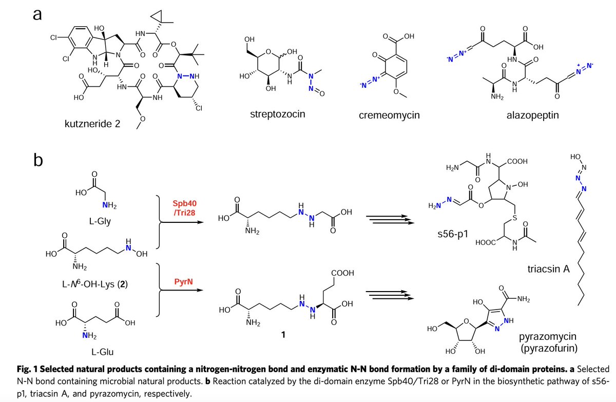 Enzyme Chemistry tweet media