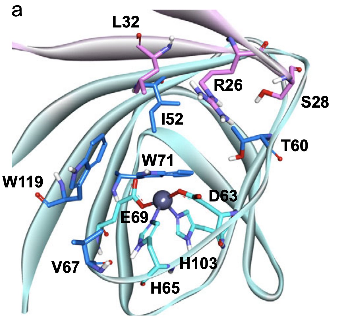 Enzyme Chemistry tweet media