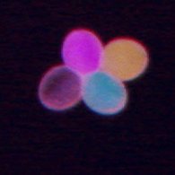 copenhaverlab's tweet photo. The Copenhaver lab is hiring two postdoctoral associates to work at @UNC discovering new genes, epigenetic patterns, and environmental conditions that influence the regulation of #meiotic recombination in plants.  Please RT, thank you.
https://t.co/OTqcLGXgFM https://t.co/mRAGOQgvNh