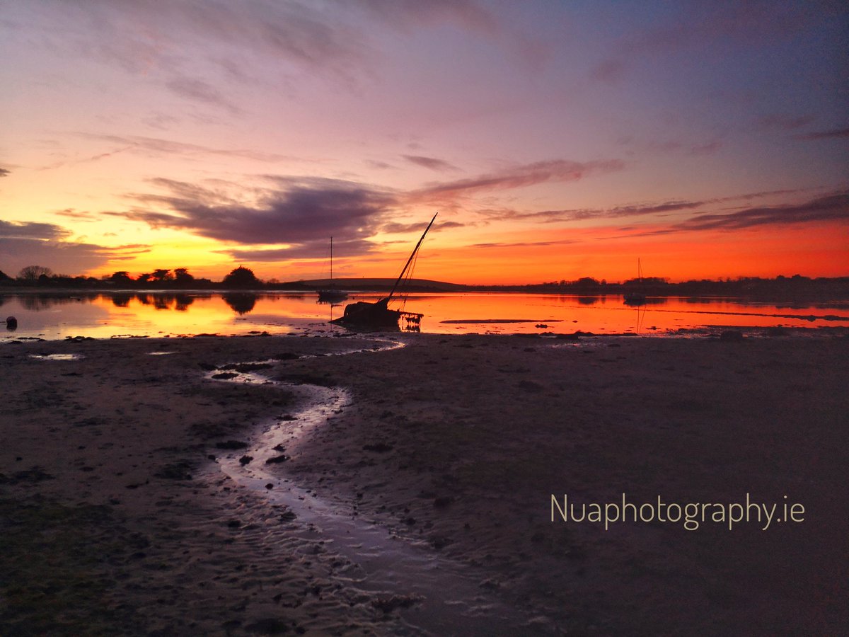 NuaPhoto's tweet photo. Feeling blessed to be standing here enjoying this with the Brent geese #rogerstown #rushcodublin #nuaphotography #dublinsunset #irishwinter #irishsunset https://t.co/At8oZqMmC5