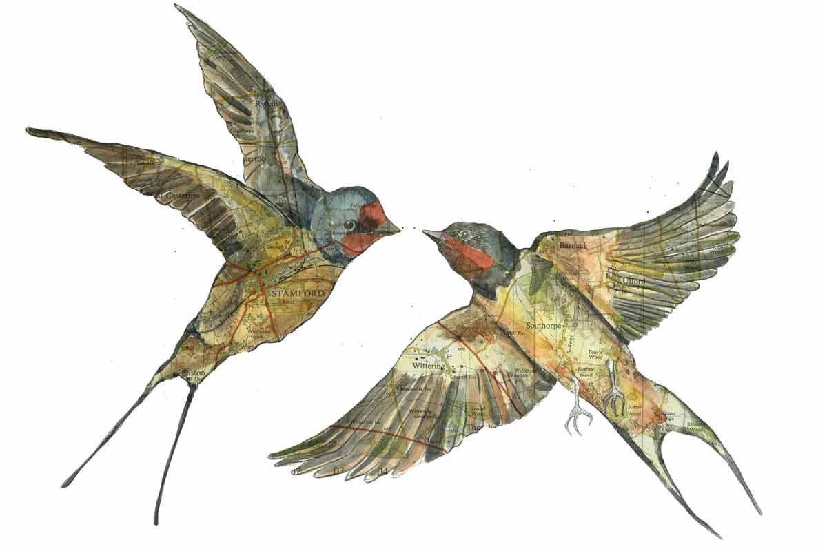 jennycapondraws's tweet photo. My order books are full for bespoke map / bird prints for Xmas, but gift vouchers are available for all print sizes in my website shop https://t.co/dcJ9JxGeDb .Last day to order for Uk delivery is this Friday. Voucher delivered in one of my cards, can send direct with message😀🎄 https://t.co/Le3feTFKod