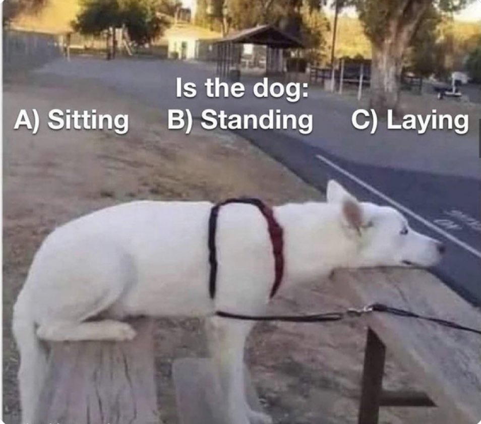 iaamdevgupta's tweet photo. CBSE Options Be Like:
@cbseindia29 #cbseanswerkey #cbseterm1 #CBSE https://t.co/lfVd6HMkaT
