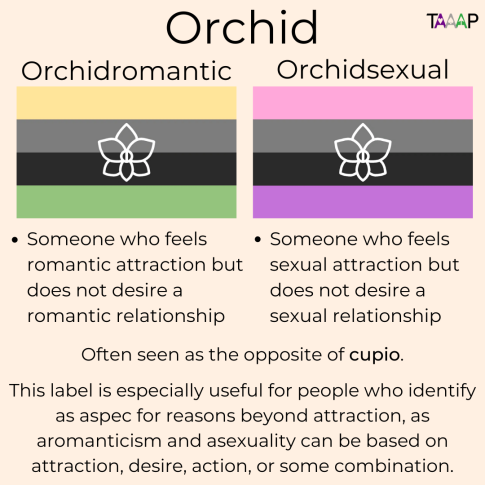 TAAAP_org's tweet photo. We posted about being #Cupio Saturday; today, we're posting about the opposite - #Orchid, which is based on a lack of desire for a relationship.
A reminder that being #aro or #ace isn't always based on attraction - it can also be based on desire, actions, behavior, and more! https://t.co/ofbl6IXC7U