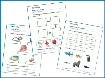 k5 learning on twitter we ve created 42 worksheets for students in grade 2 to practice what they have learned about animals their needs and their habitats https t co 569swr7ioo k5 science animals k5learning worksheets