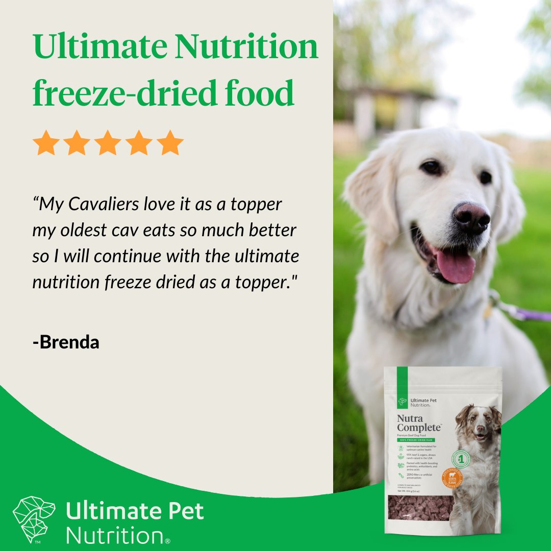 ultimate dog nutrition