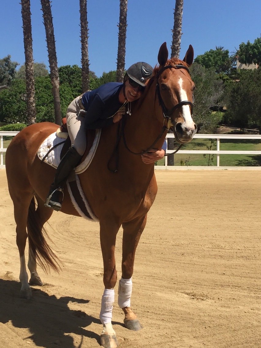 Happy #NationalDayOfTheHorse from our barn to yours.