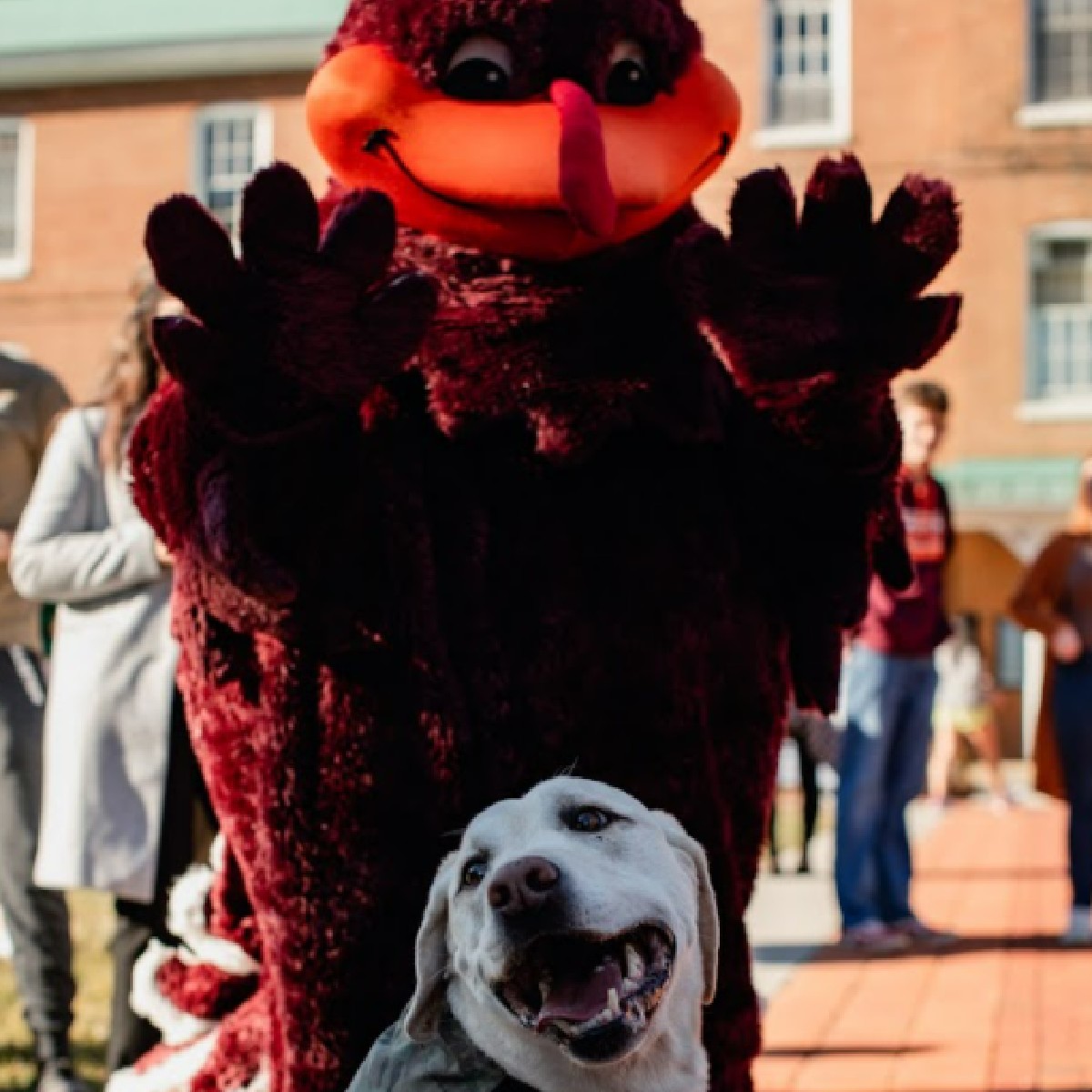 VT Student Affairs tweet media