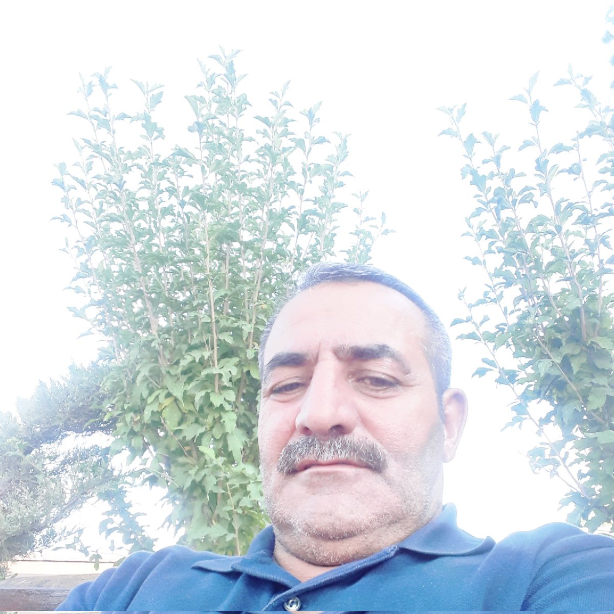 TatvanBitlis4's tweet photo. #YeniProfilResmi https://t.co/ruSiX7Oqh3