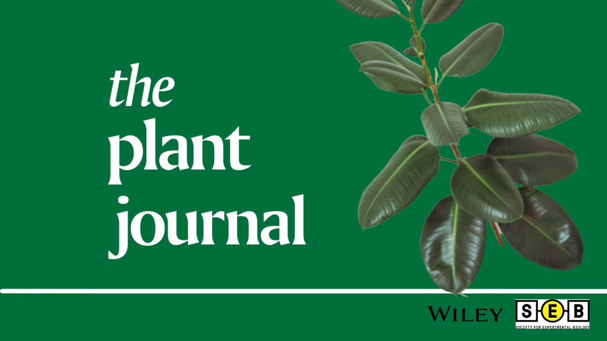 ThePlantJournal's tweet photo. Did you know you can now produce video abstracts for articles published in The Plant Journal? Read more here: https://t.co/gF1fKxr5FO https://t.co/ZlCbyqjoeb