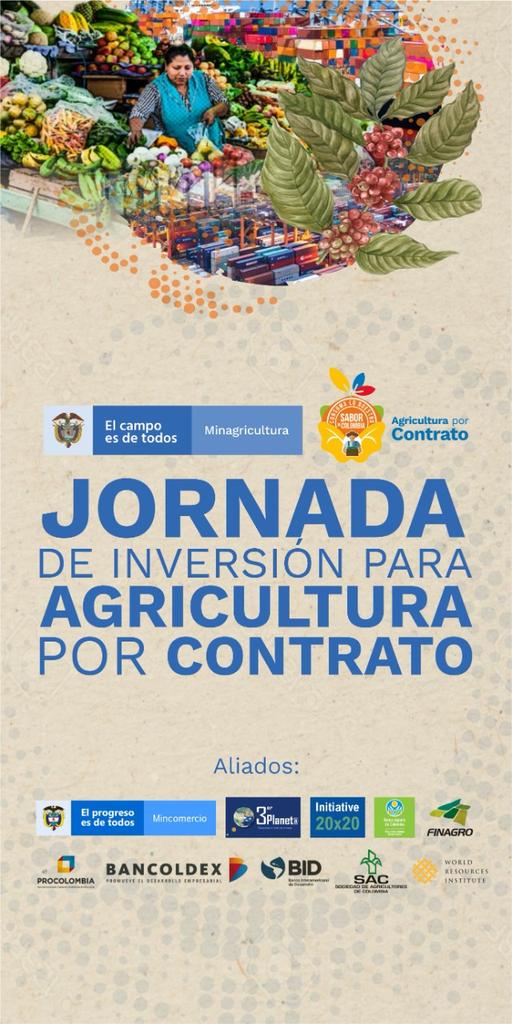 3erPlaneta tweet media