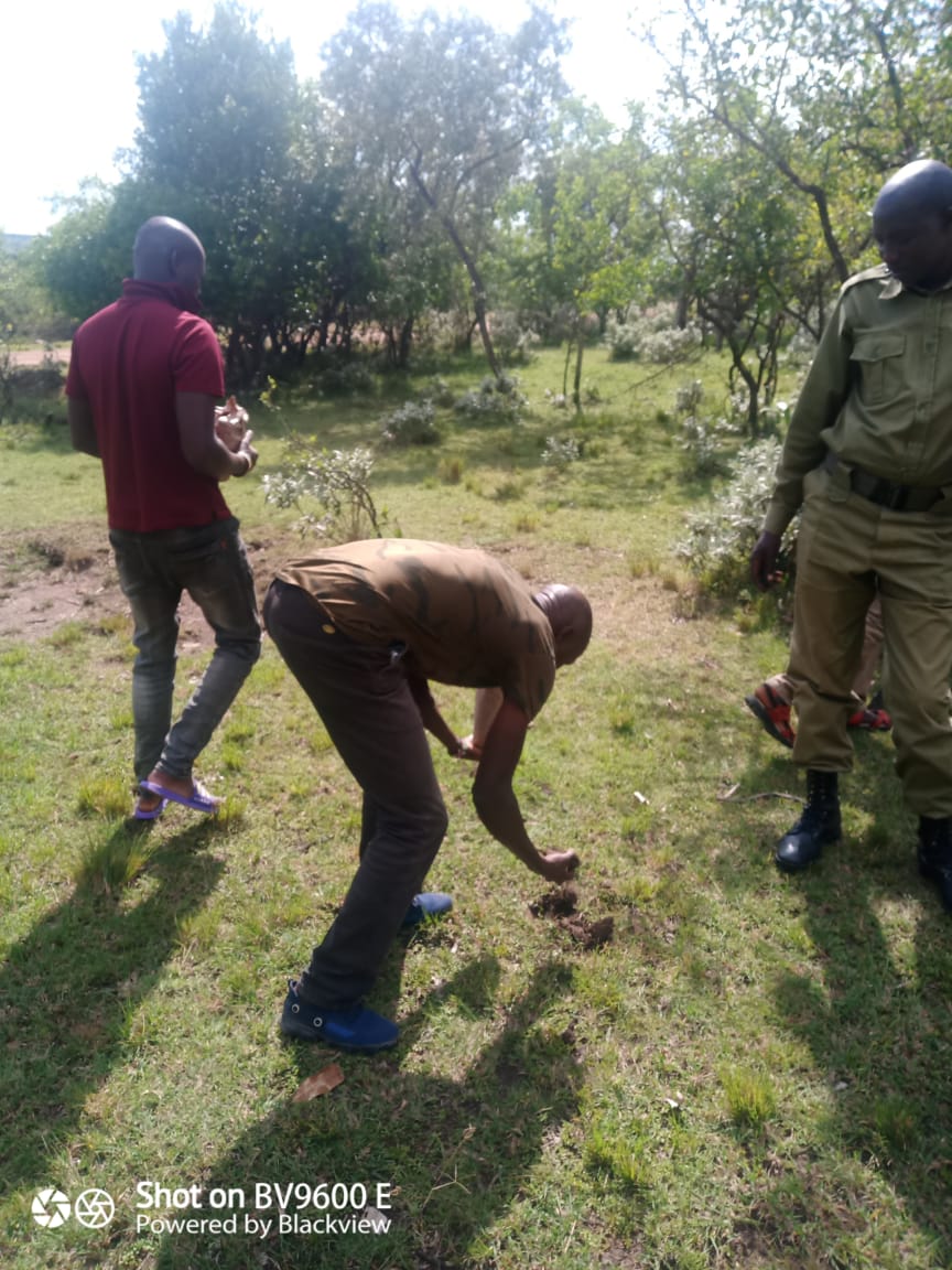 cookswelljikos's tweet photo. Thank you Dickson from the #Nyekweri #Kimintet Community Forest Conservation Trust for sending in these pics of the rangers you work with planting indigenous olea africana #seedballs on their patrols. 

#wildliferangers #forestrestoration #directseeding #transmara https://t.co/7FTY3Jc33m