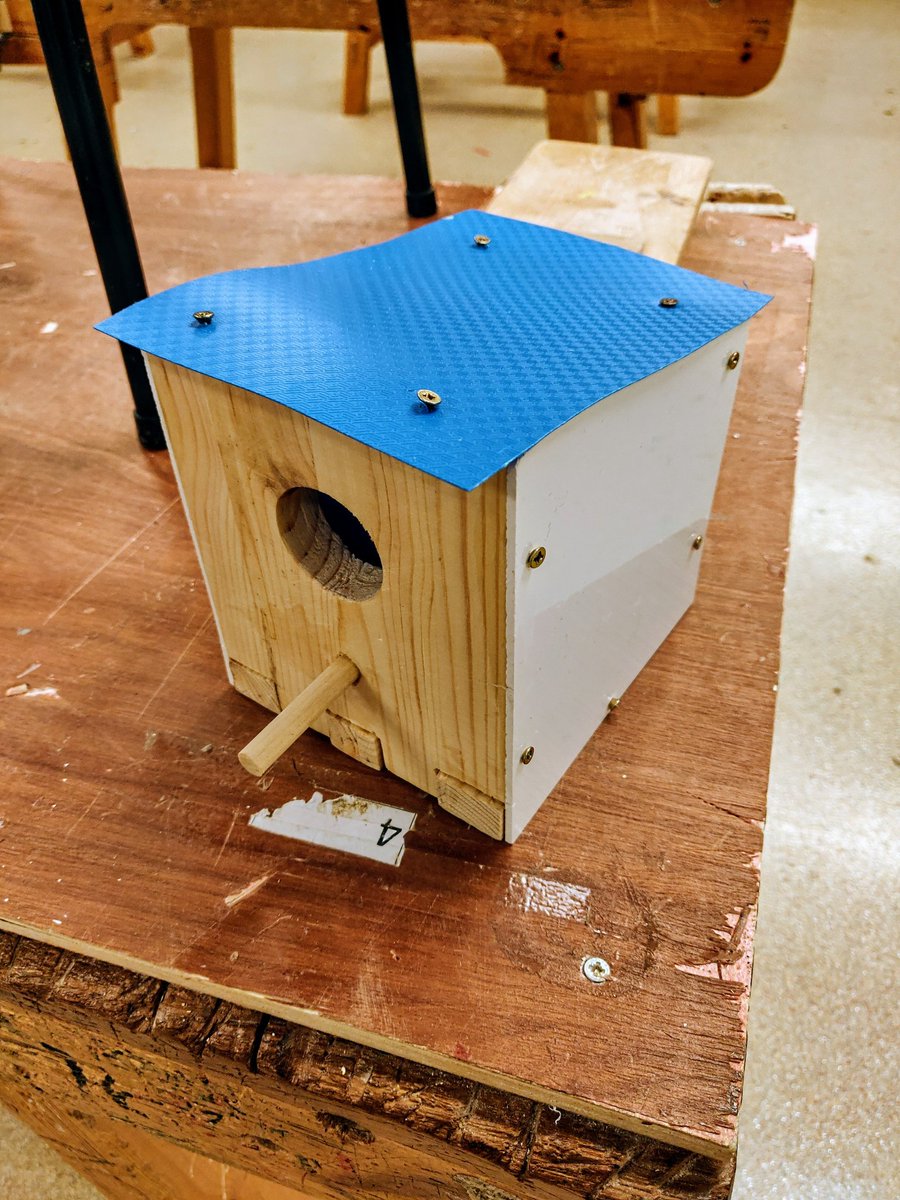 GWeir24's tweet photo. 2nd Year @FingalCC students will be taking home their birdhouse projects this week. Students created the roof using recycled material that would otherwise go into landfill and made with clear walls to see what's happening inside! 🐦🛠️ https://t.co/yzJj0eFHsl