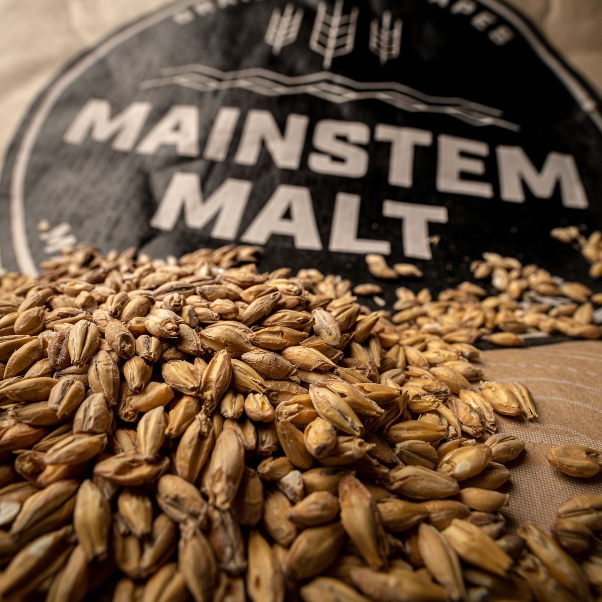 @AmalgaDistillery's been cranking through our #CascadiaPale &amp; #AlderSmoke malts, using them as the foundation for a bunch of noteworthy #whiskey. Grateful for them, with 95% of their malt coming from Mainstem.

📸<a href="/nathan_kelley/">Nathan Kelley</a>! More of his beautiful production photos to come...