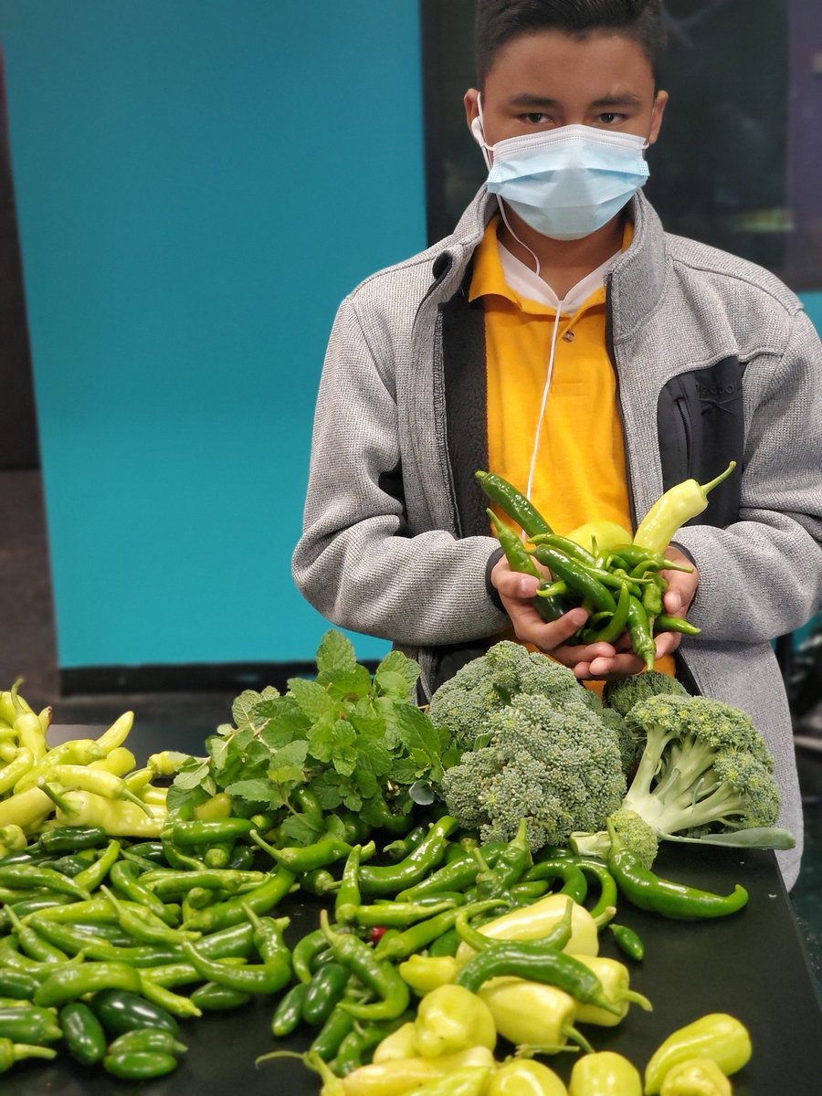 HMS_ag's tweet image. Ag is one of those subjects that equalizes the playing field. All of my students are able to excel. #HarvestSeason #igettoserve #agriculture #beachangeagent #EducationForAll #greenspaces @HollandHISD @HISDMiddleSchls @HISD @monreal_sonya
