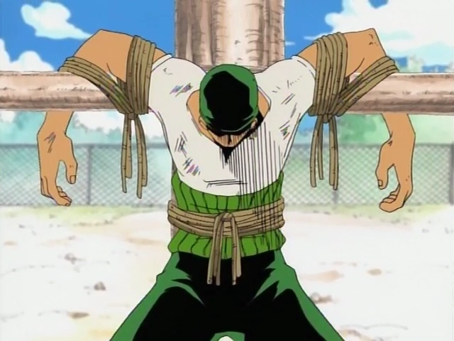 Papalmito feloiz on X: nesse perfil idolatramos o Roronoa (GOSTOSO) Zoro   / X