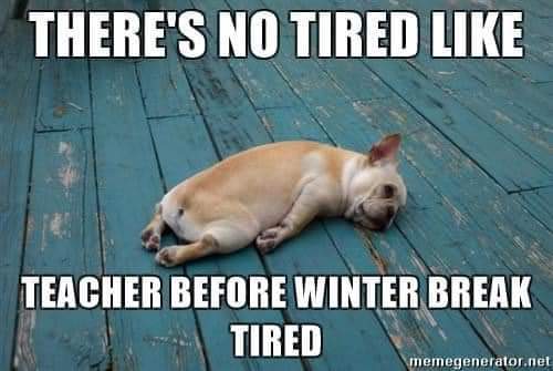 No lies detected! 💯