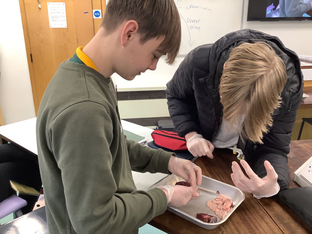 Dunottar Science tweet media