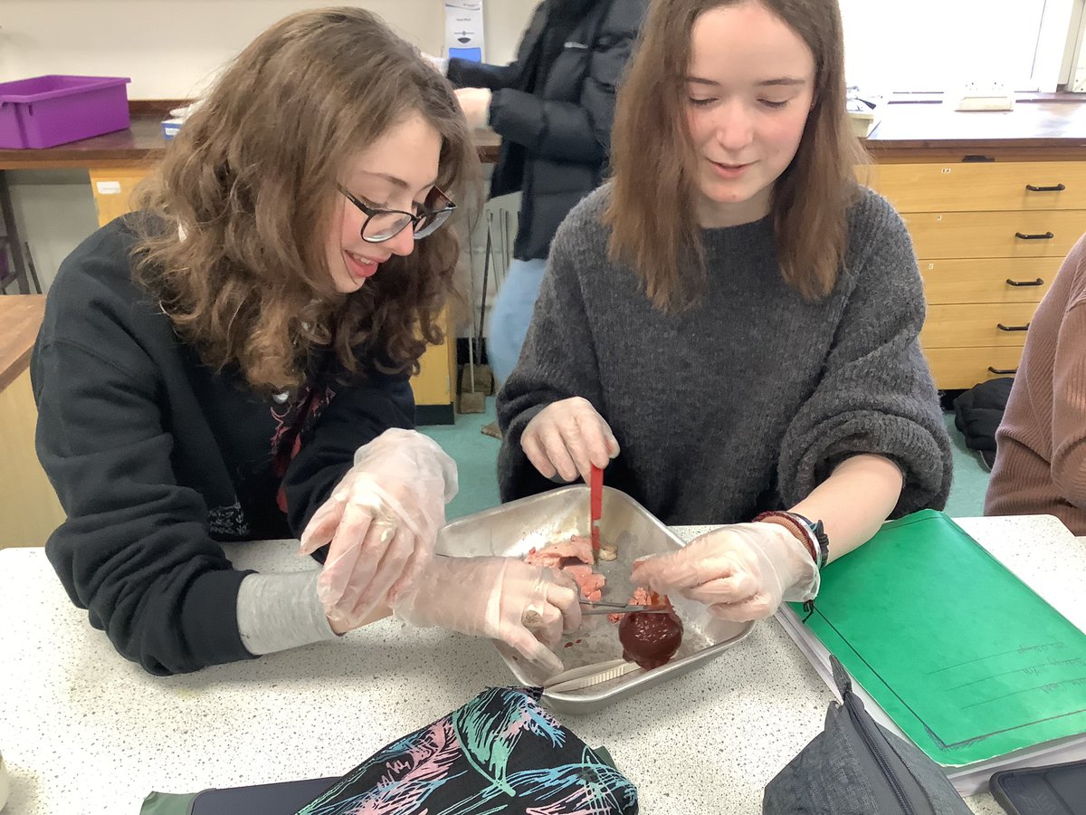 Dunottar Science tweet media