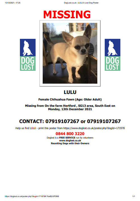 SheilaGarci2's tweet photo. #LULU missing from farm in #Hertford #SG13 near #Brickendon and #Hoddesdon on 13th December
PLS RT https://t.co/M3Z6ihALPh