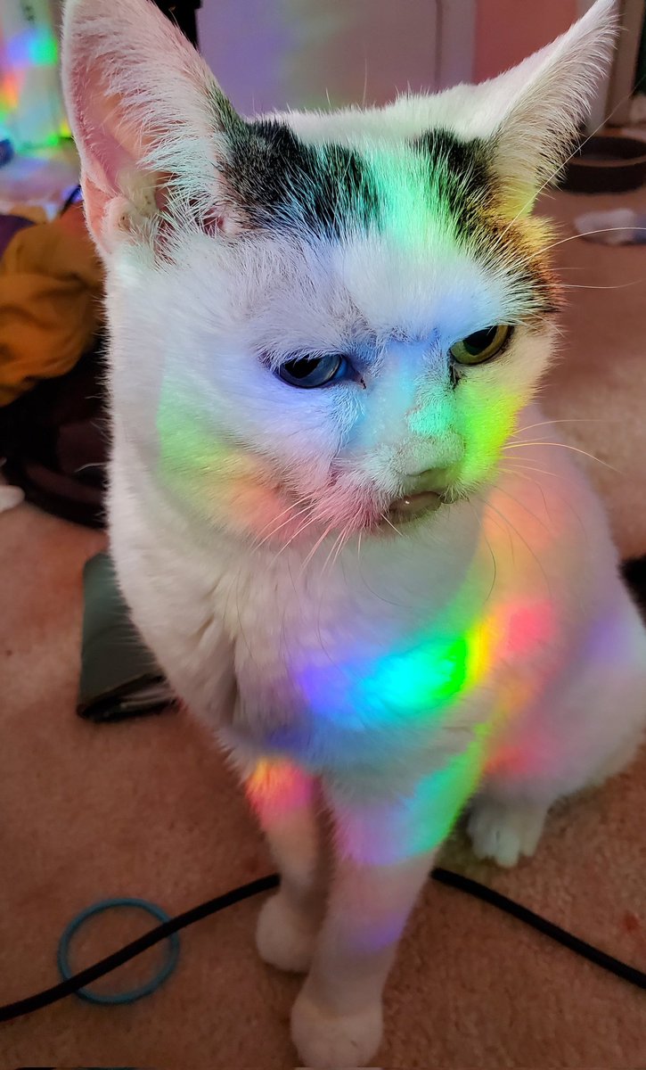 gay only or leave right away