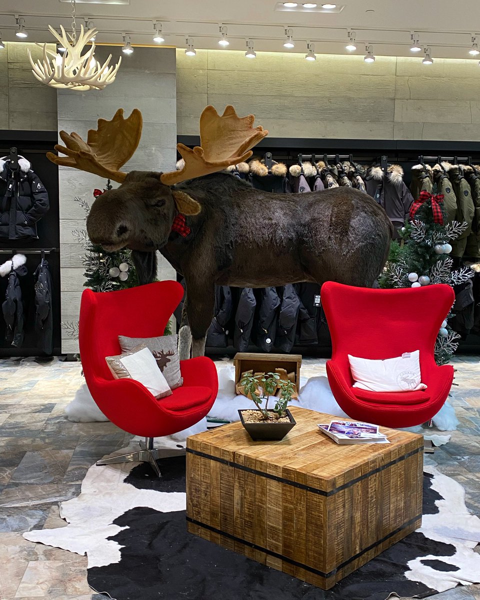 moose_plaid's tweet photo. If The Plaid Moose Gallery was a bricks and mortar location I like to think it would look like this but without the sporting goods- and a whole lot of art. This is taken at A Sporting Life in south centre. https://t.co/qsIqYDjQ5V https://t.co/DtFnNGUjjq