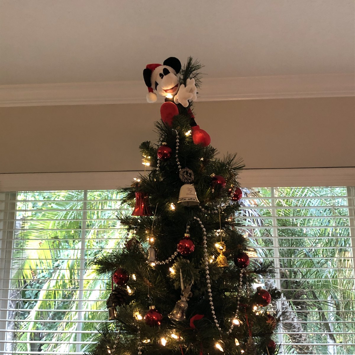 Ike_Eisenmann's tweet photo. Of course, I have a Mickey Mouse tree topper! Donโt you?
#mickeymouse #disney #christmastree #treetoppers #tistheseason https://t.co/hiPmje6q56