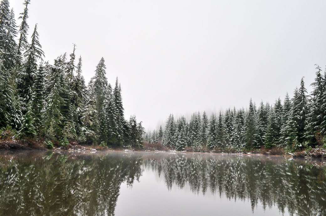 ForestServiceNW's tweet photo. "Life is either a daring adventure or nothing.”

--Helen Keller

#MondayMotivation https://t.co/GK4IcLqyHQ