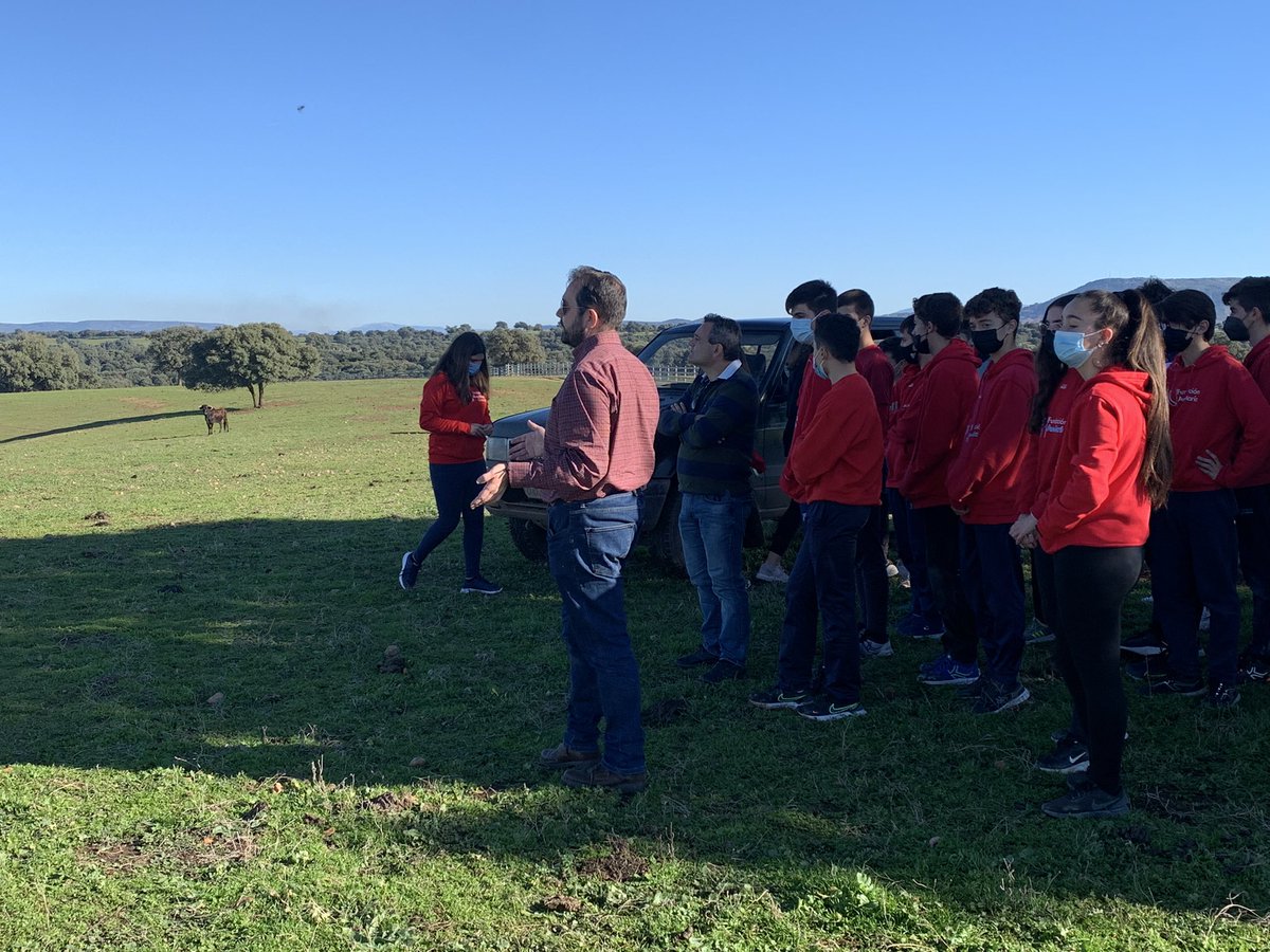 El toro hay que enseñarlo , lo que habría dado yo porque @LMParradoH le explicase a los de mi colegio cuando teníamos 15 años lo que era el campo bravo. Hoy 50 críos que podrán decidir por ellos mismos habiendo conocido el campo bravo de primera mano. Sin que les manipulen.