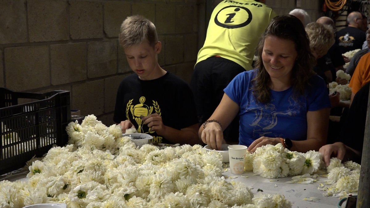 Bijzondere week voor corso's in de Achterhoek. Vijf vragen over de felbegeerde Unesco-lijst bit.ly/3DPr2kI