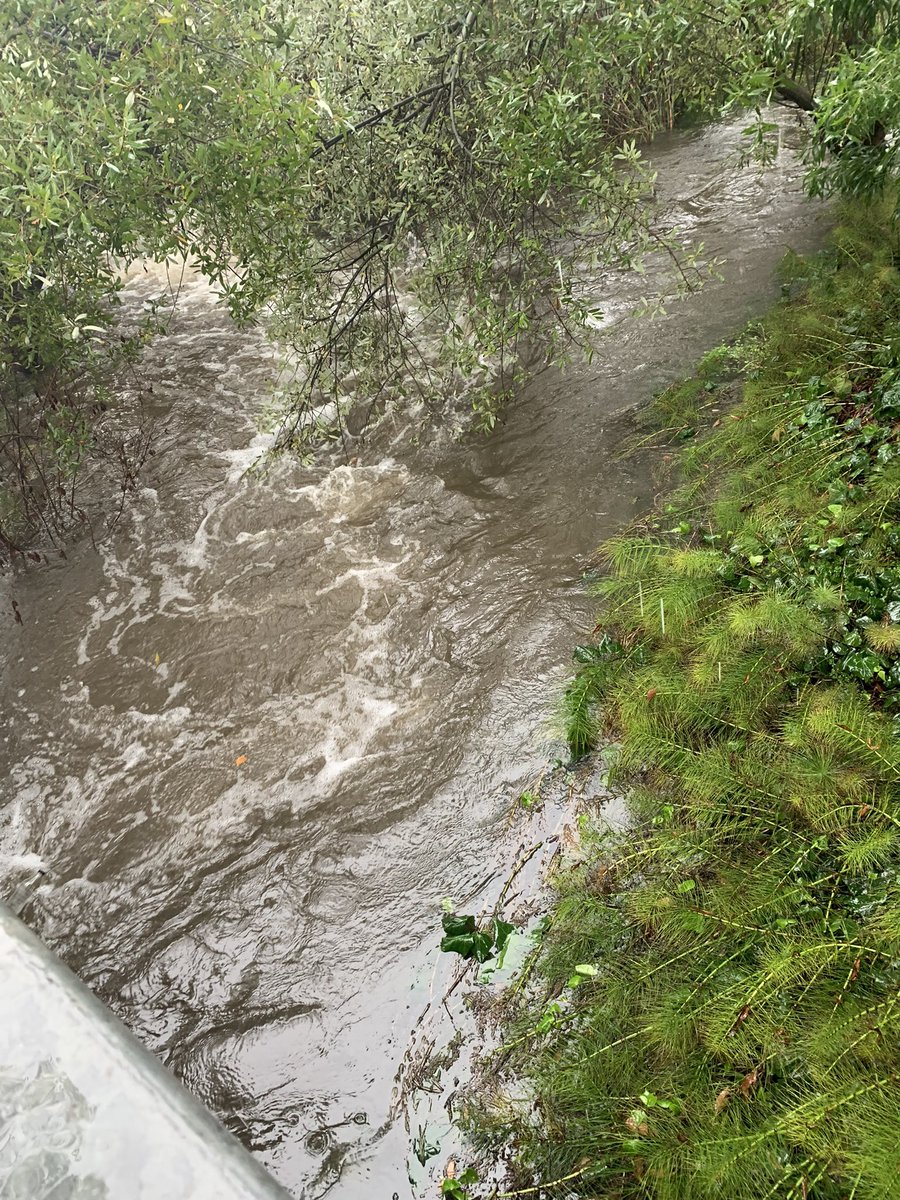 The little stream cutting through CCC campus looks like Level 3 rafting rage.  Be safe and stay dry!