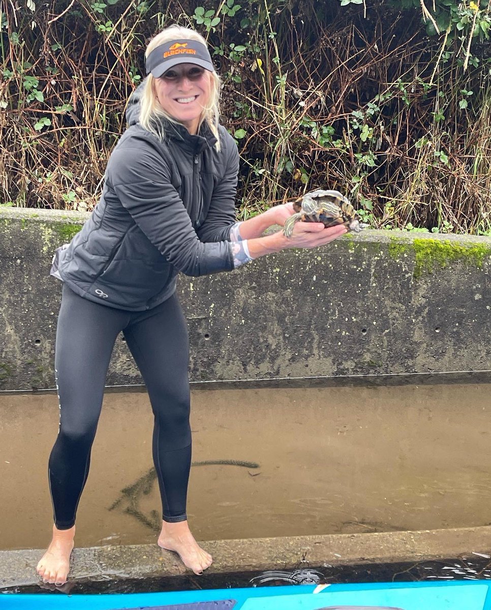 Blackfish Paddles (@blackfishglobal) on Twitter photo PADDLES FOR TURTLES 🐢
The unexpected is just round the corner and #Blackfish Team Rider <a href="/kkrugerofficial/">Karl Kruger</a> perfectly captures the stoke of exploring by #SUP!
Paddle: Viento Black Series
#mondaymood #moodygrams #BlackfishPaddles #paddlerstothecore #noeasyway #neverstoppaddling PADDLES FOR TURTLES 🐢
The unexpected is just round the corner and #Blackfish Team Rider <a href="/kkrugerofficial/">Karl Kruger</a> perfectly captures the stoke of exploring by #SUP!
Paddle: Viento Black Series
#mondaymood #moodygrams #BlackfishPaddles #paddlerstothecore #noeasyway #neverstoppaddling