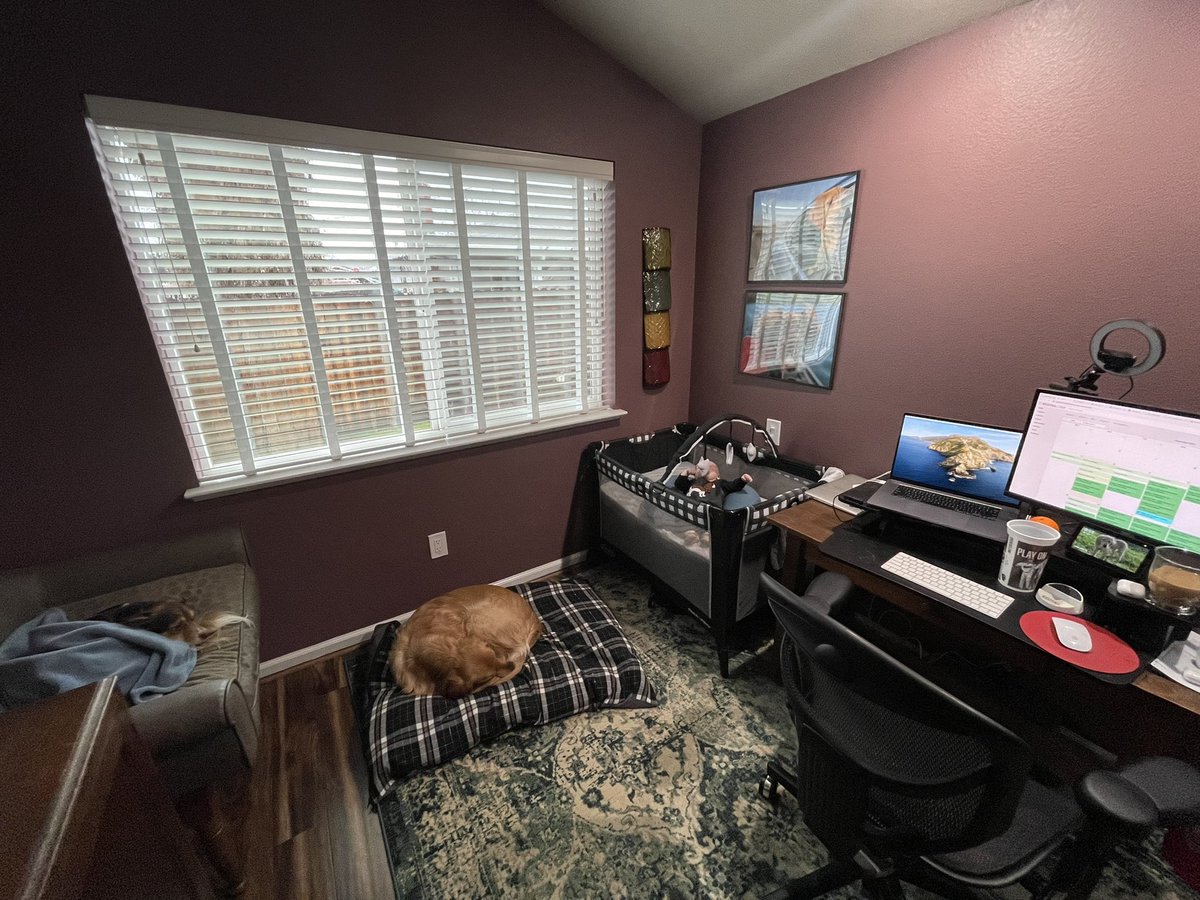 redtailhayley's tweet photo. Back from maternity leave! Everyone is sleeping and Iβm getting work done in the home office today. So grateful to be working from home #redtailrocks https://t.co/asZaQ1K5G6