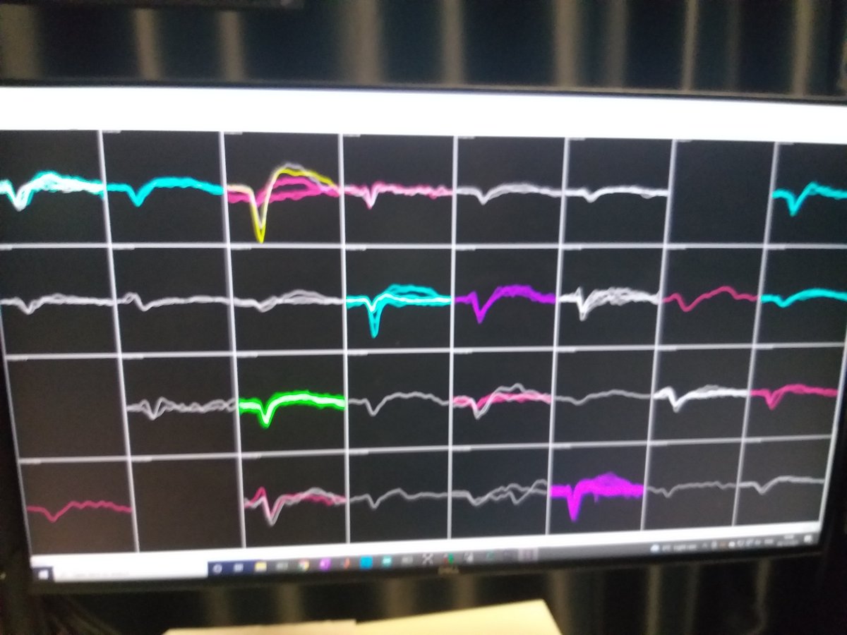 Varun Sreenivasan tweet media