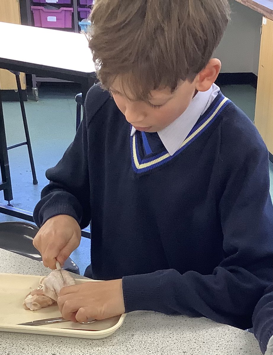 Dunottar Science tweet media