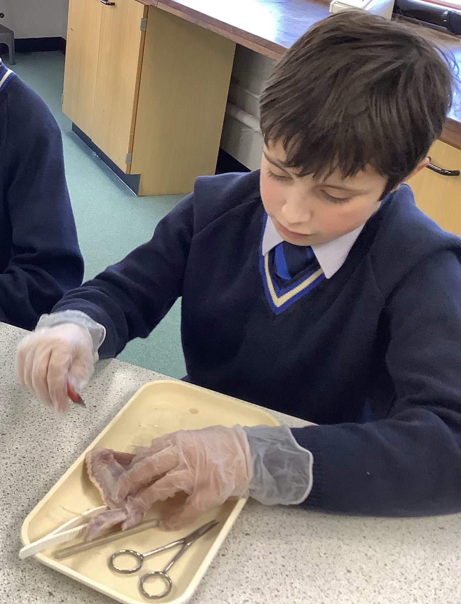 Dunottar Science tweet media