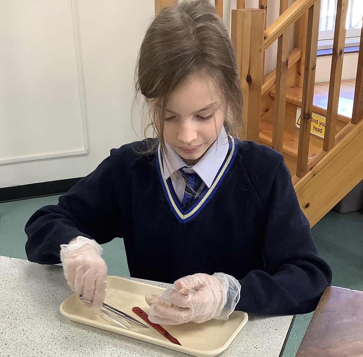 Dunottar Science tweet media